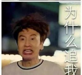 韩国搞笑的名字,揭秘那些搞笑名字背后的故事