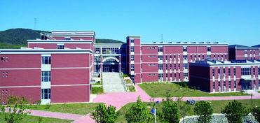 大连艺术学院出的明星,演绎青春梦想的璀璨星辰