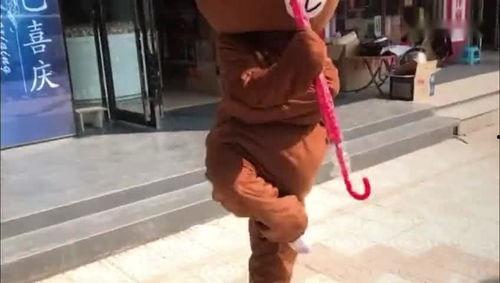 网红熊张嘉译,网红界的“演技派”传奇