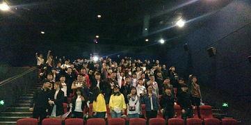 观影团活动背景,探索观影团活动的魅力与意义